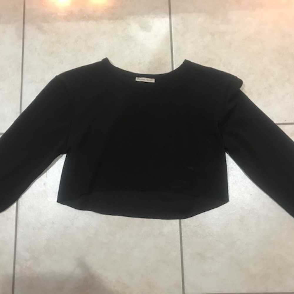 Zara long sleeve crop top